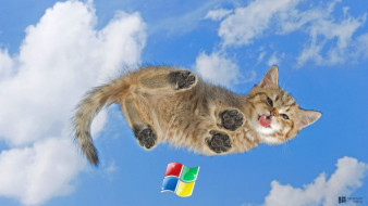 , windows xp, , , 