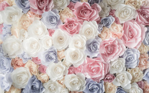      2880x1800 , ,  ,  , , roses, white