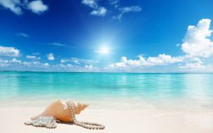 , ,  ,    spa-, sea, beach, sand, seashell, sunshine