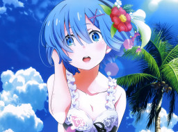     1107999 (a): :1920x1428