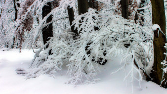     1110054 (a):Barborka :1920x1080