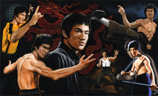 Bruce Lee     2824x1723 bruce lee, , , , , , -