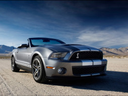 2010-Ford-Shelby-GT500     1920x1440 2010, ford, shelby, gt500, 