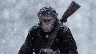  , war for the planet of the apes, war, for, the, planet, of, apes
