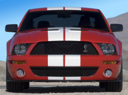 Ford Shelby GT500 2007     1600x1200 ford, shelby, gt500, 2007, 