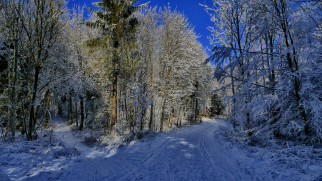 природа, зима, тракт