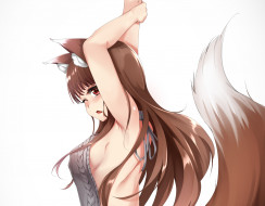 , spice and wolf, holo