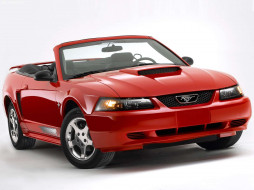 FORD MUSTANG     1600x1200 ford, mustang, 