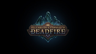 Pillars of Eternity 2: Deadfire     2560x1440 pillars of eternity 2,  deadfire,  , pillars, of, eternity, 2, deadfire, , action