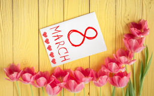      2880x1800 ,    - 8 , love, , gift, tulips, 8, , pink, , romantic