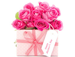      4000x3040 ,    - 8 , bouquets, , , roses, gift, , 8, 