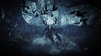 The Witcher 3: Wild Hunt     2560x1440 , , , , , 