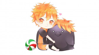 , haikyuu, , 