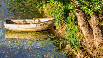     1150173 (a):Barborka :3000x1700