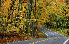 природа, дороги, листья, лес, осень, деревья, дорога