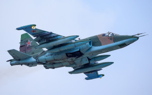 Su-25SM     2048x1278 su-25sm, ,  , 