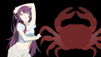      1920x1080 , bakemonogatari, , , 