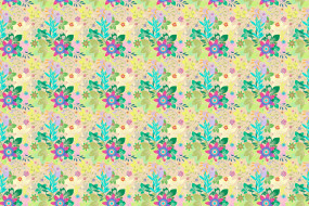     1161007 (a): :3000x2000