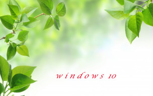      2560x1600 , windows  10, , , , 
