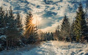 природа, зима, дорога, лес, солнце
