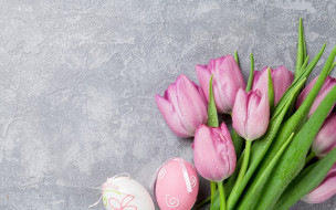      2560x1600 , , , , pink, tulips, spring, easter, eggs, decoration, happy, tender, pastel
