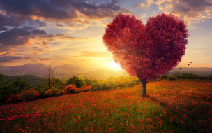      2880x1800 ,  , , , , , , , , love, field, landscape, heart, pink, blossom, flowers, beautiful, tree, romantic