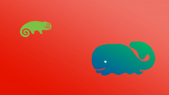     1181116 (a): :2560x1440