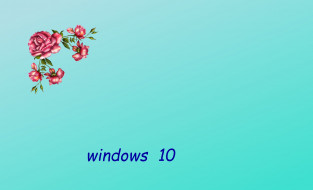      2548x1547 , windows  10, , 