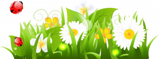     1186243 (a): :3800x1424