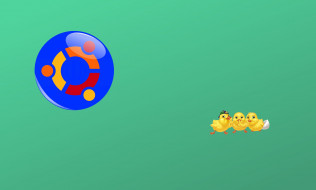     1186460 (a): :2548x1535