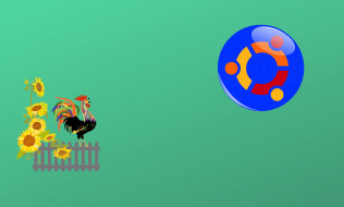     1186464 (a): :2548x1535
