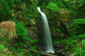      2048x1362 , , leaves, water, waterfall, stream, , , autumn, , , 