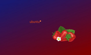      2290x1389 , ubuntu linux, , 