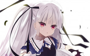 , absolute duo, absolute, duo