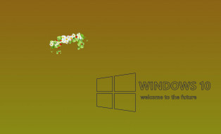      2293x1390 , windows  10, , 