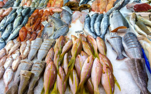      2880x1800 , ,  ,  ,  , fish, frozen, meat, variety