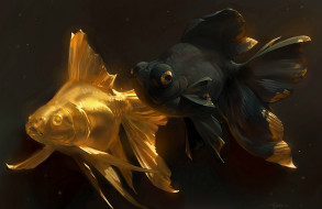      1920x1248 , ,  , , , golden, fish, , 
