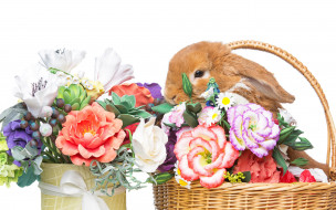 , ,  , flowers, spring, , eggs, , happy, rabbit