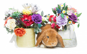      2880x1800 , ,  , spring, eggs, , happy, rabbit, flowers, 