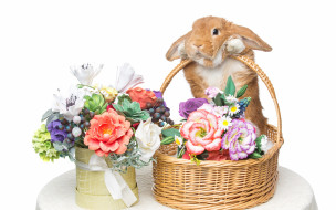 , ,  , eggs, , rabbit, happy, , flowers, spring