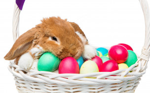 , ,  , , spring, flowers, eggs, , happy, rabbit