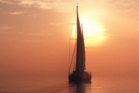     1204014 (a):cucushonok :1920x1291