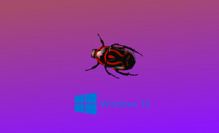 ����������, windows  10, ���, �������