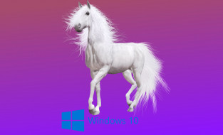 , windows  10, , 