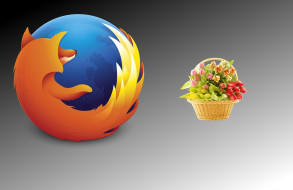 , mozilla firefox, , 