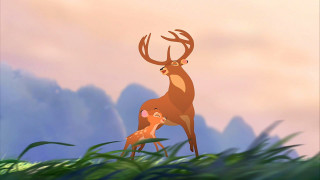 , bambi 2, , , , 