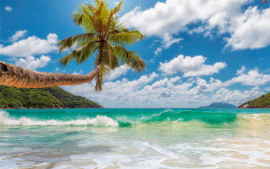      2880x1800 , , beach, sand, summer, tropical, island, , , palms, sea, , , , , paradise