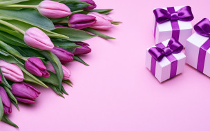      1920x1200 ,   , flowers, , , romantic, gift, purple, , love, , tulips, pink, fresh, 
