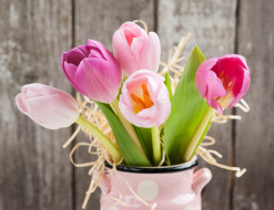      2760x2128 , , flowers, , tulips, romantic, pink, gift, love, fresh
