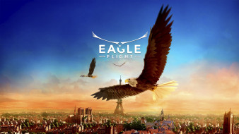 Eagle Flight     3840x2160 eagle flight,  , , eagle, flight, , 